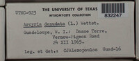 Image Associated With the Occurence